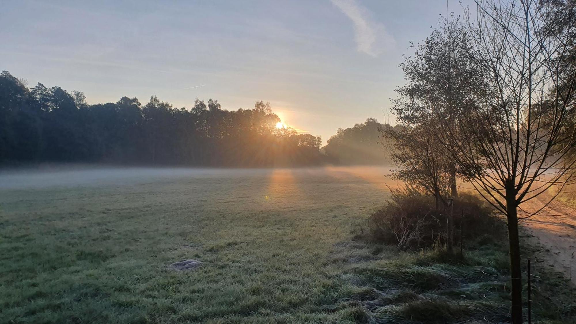 Am Gruenen Meer Myšyn Exteriör bild